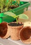 Accessoires pour semer - Godet Coco Rond - 6 cm (x32) - MEDIA_EN_SITUATION_2